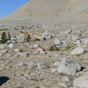 SouthernSierra 464 : SouthernSierra